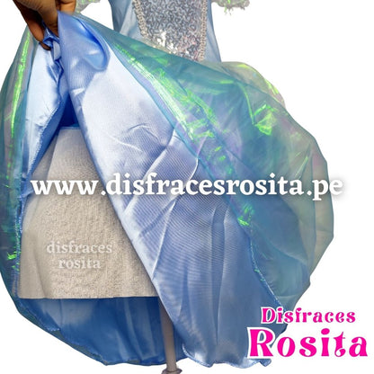 Disfraz Cenicienta Vestido Especial